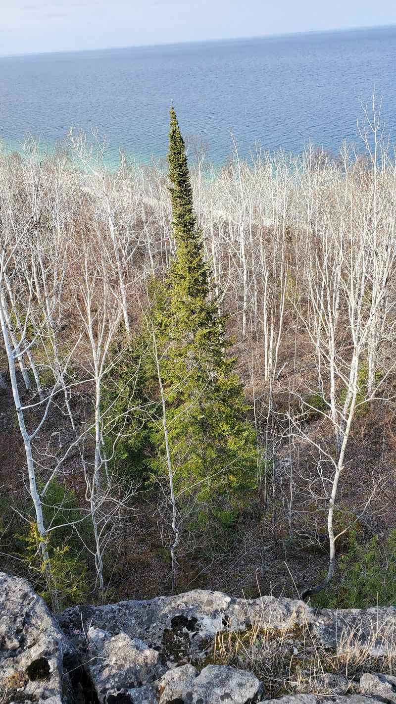 Drummond Island, Drummond Island