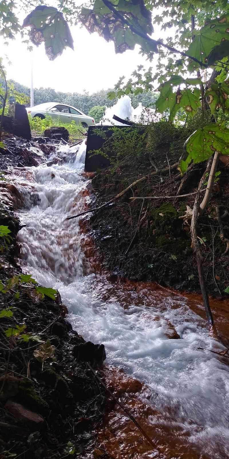 Zero Admission Fees and Open 24/7