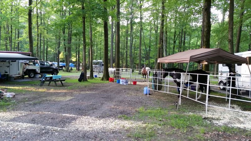 The Campground and Dude Ranch Offer Extended Stay Options