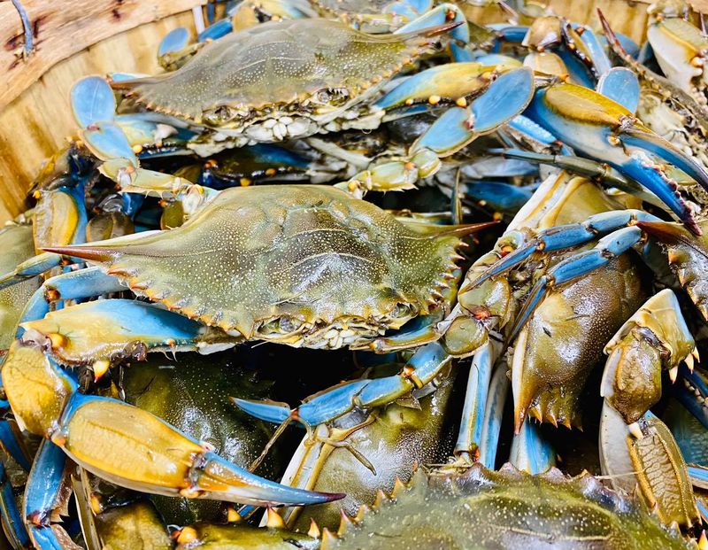 It All Started With A Bus Full Of Crabs