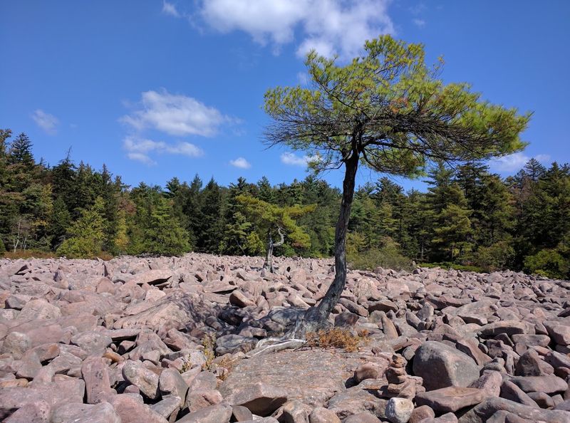 It Covers More Than 16 Acres Of Open Rock It Covers More Than 16 Acres Of Open Rock