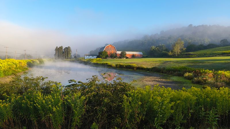 Cherry Springs State Park Is Just 15 Minutes Away