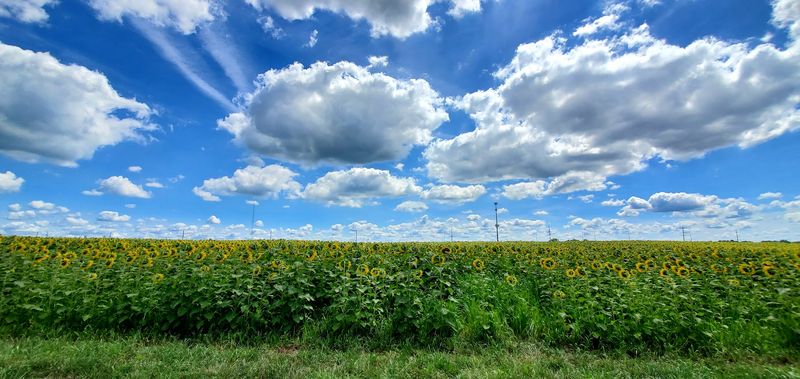 Where This Must-See Illinois Farm Is Hiding