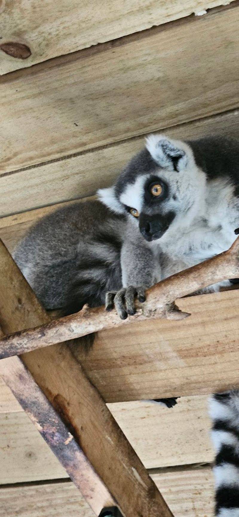 The Sanctuary Operates As A Registered 501-C(3) Nonprofit