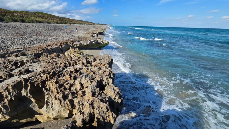 It Is the Largest Exposed Anastasia Limestone Outcrop On The East Coast It Is the Largest Exposed Anastasia Limestone Outcrop On The East Coast