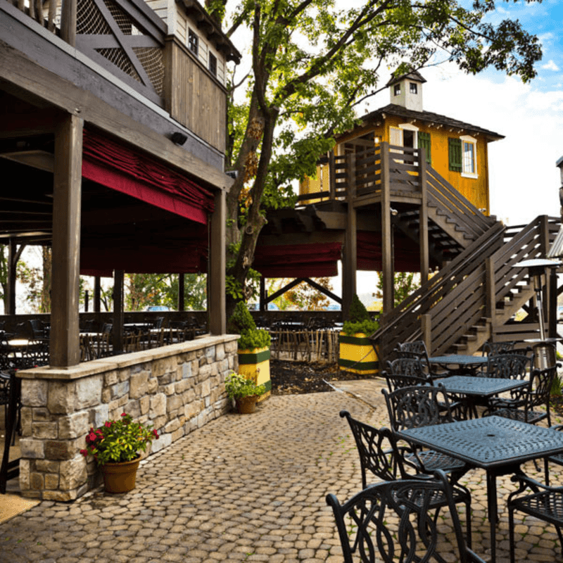 It Lives Inside A Treehouse-Inspired Building
