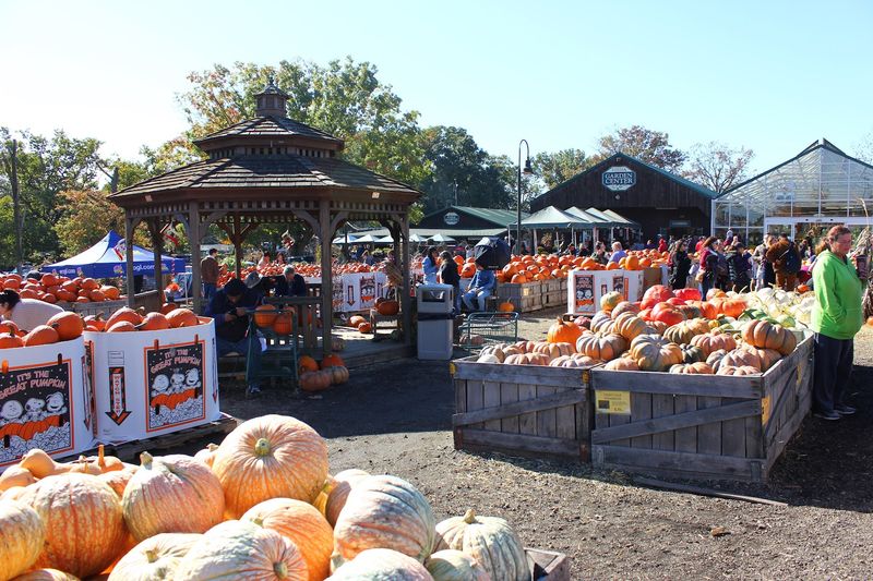 It Sits On 300 Acres Of Pure Pennsylvania Farmland It Sits On 300 Acres Of Pure Pennsylvania Farmland
