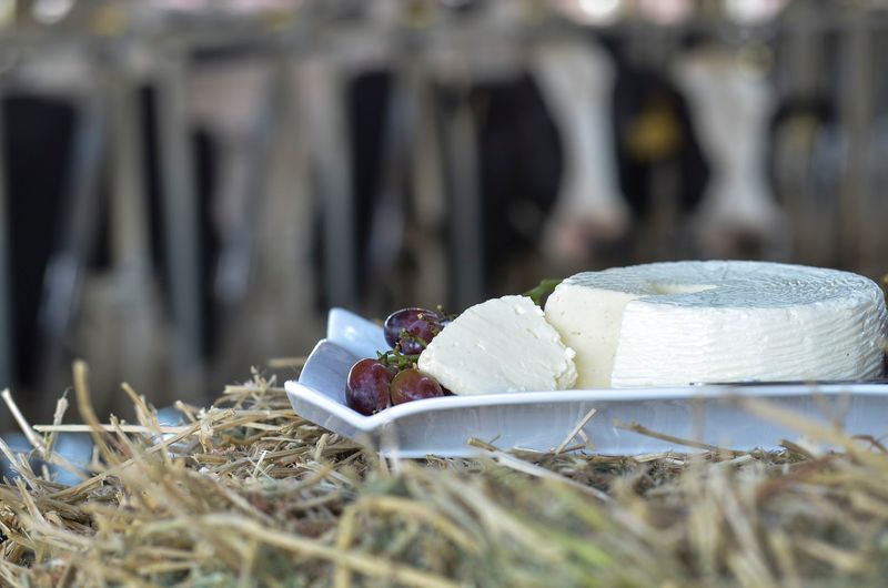 Italian Cheeses Made the Old World Way