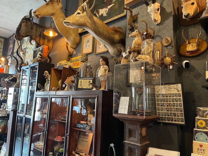 The Not-for-Sale Items Are Worth the Visit Alone