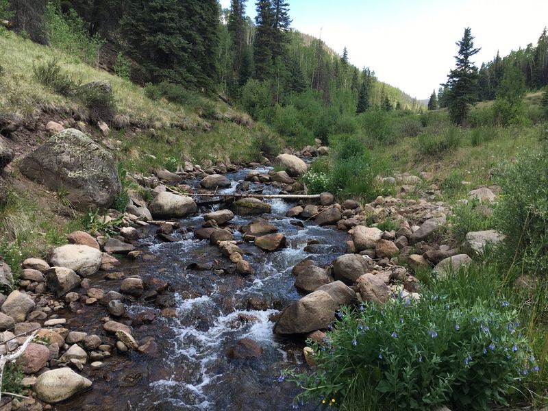 Ivy Creek Campground