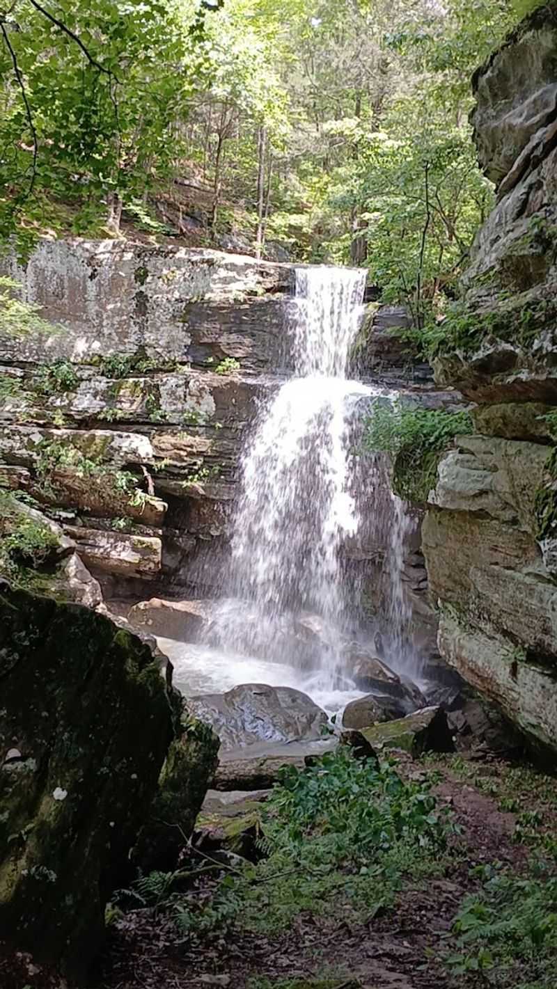 Burden Falls, Shawnee National Forest
