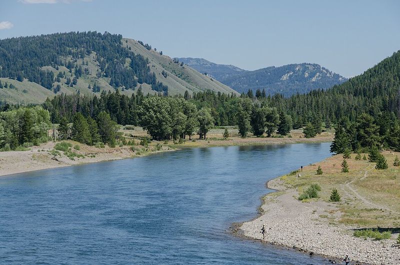 Fly Fishing On The Snake River