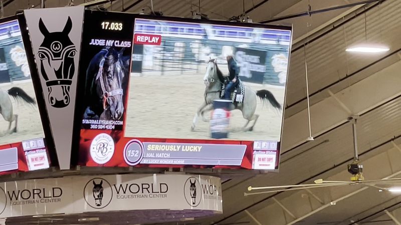 Ocala - Horse Country's Irish Spirit