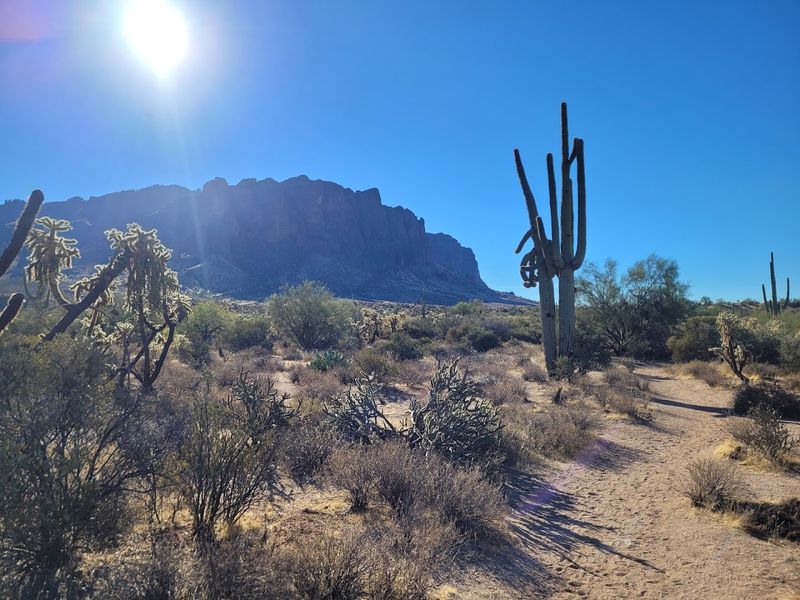 Jacob's Crosscut Trail, Lost Dutchman State Park, Apache Junction Jacob's Crosscut Trail, Lost Dutchman State Park, Apache Junction