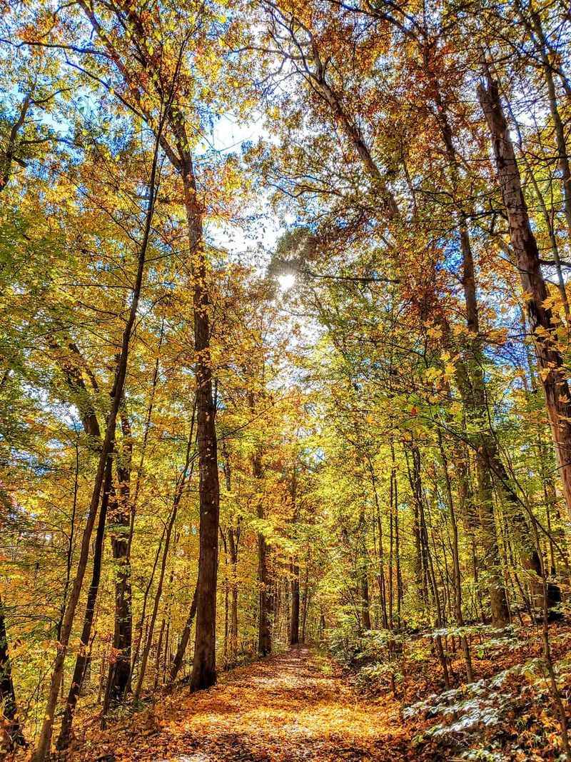 Jacob's Ladder Trail, Christmas Rocks State Nature Preserve