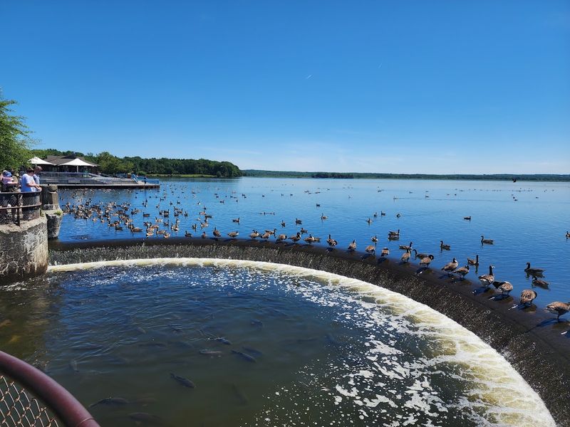 Jamestown, Pymatuning Reservoir, PA