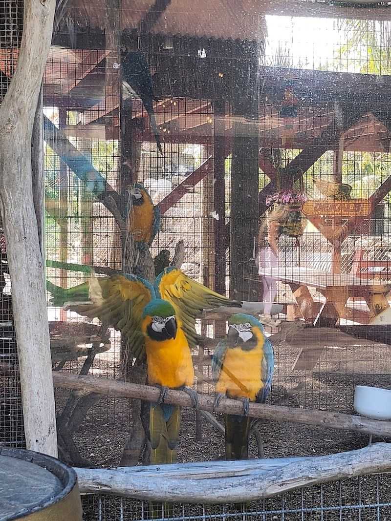 Live Music That Makes You Want To Linger