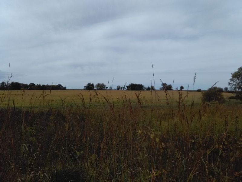 Jane Addams Trail