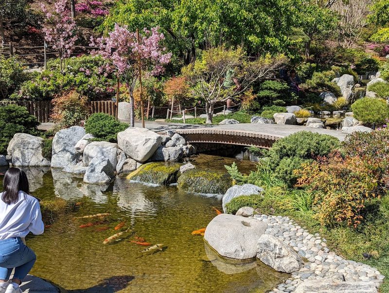 Japanese Friendship Garden And Museum