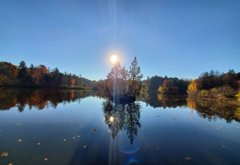 Kingswood Lake Views From The Hill