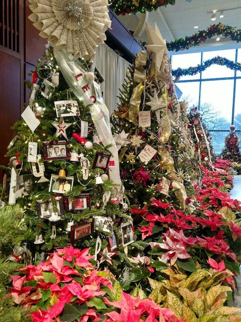 Frost: A Winter Event That Transforms the Whole Space