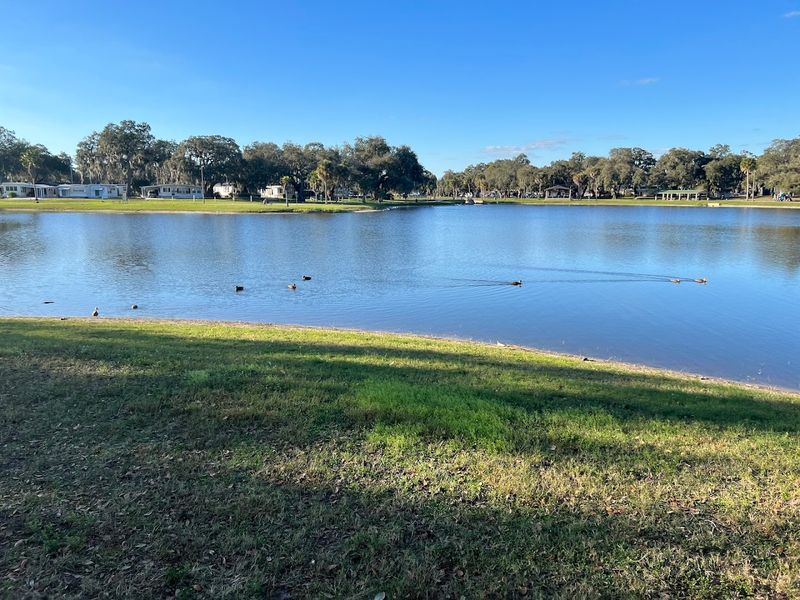 Crystal-Clear Spring Water That Put This Town On The Map