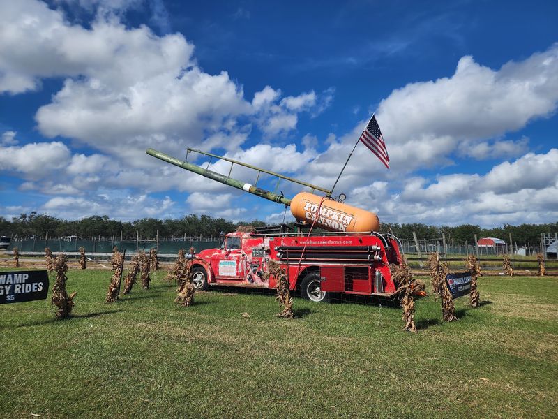 Jaw-Dropping Stunt Shows And Monster Trucks