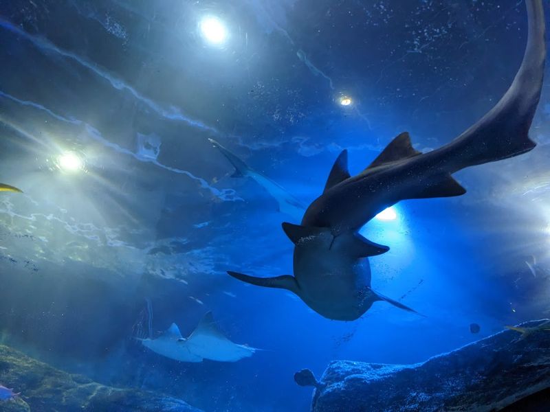 Behind The Scenes: Filters And Care