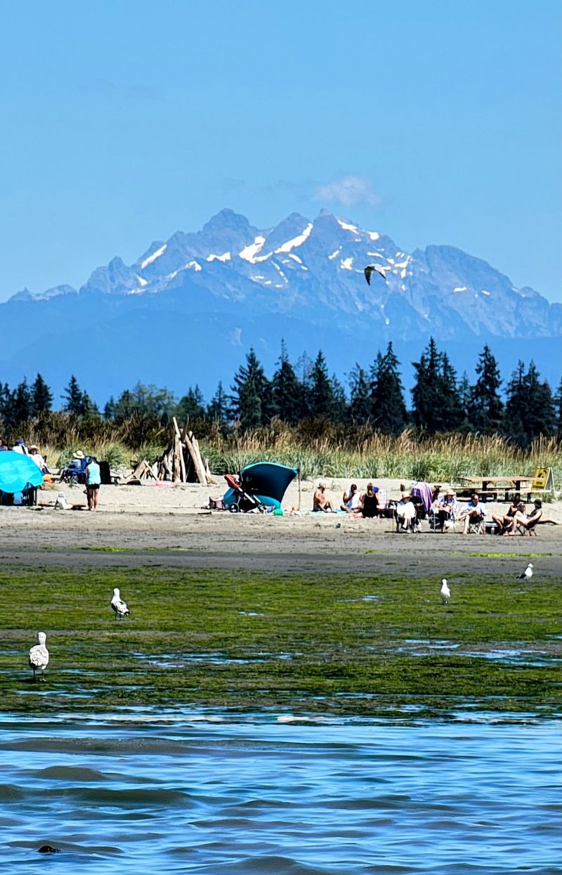 Jetty Island Beach, Everett