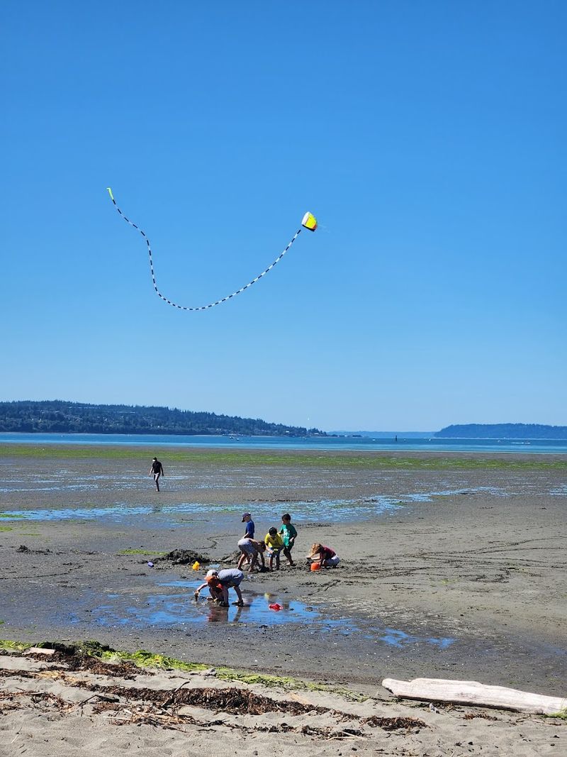 Jetty Island, Everett