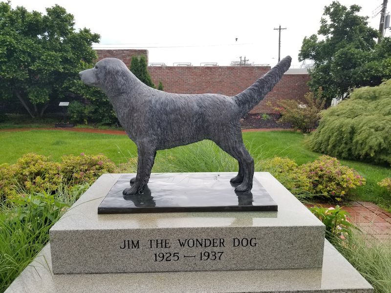Jim The Wonder Dog Museum
