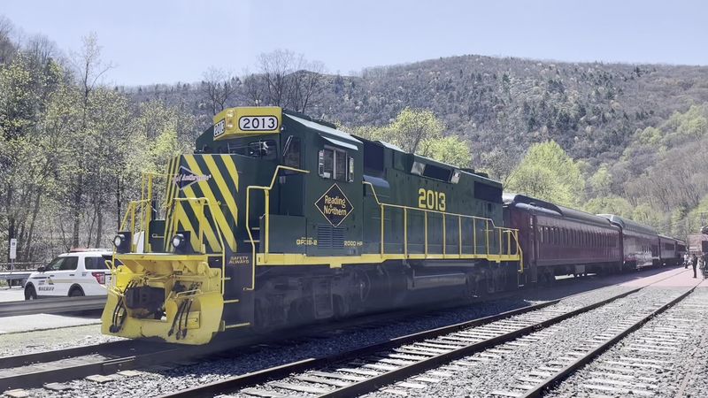 Dogs Are Welcome Aboard for Pet-Friendly Family Adventures