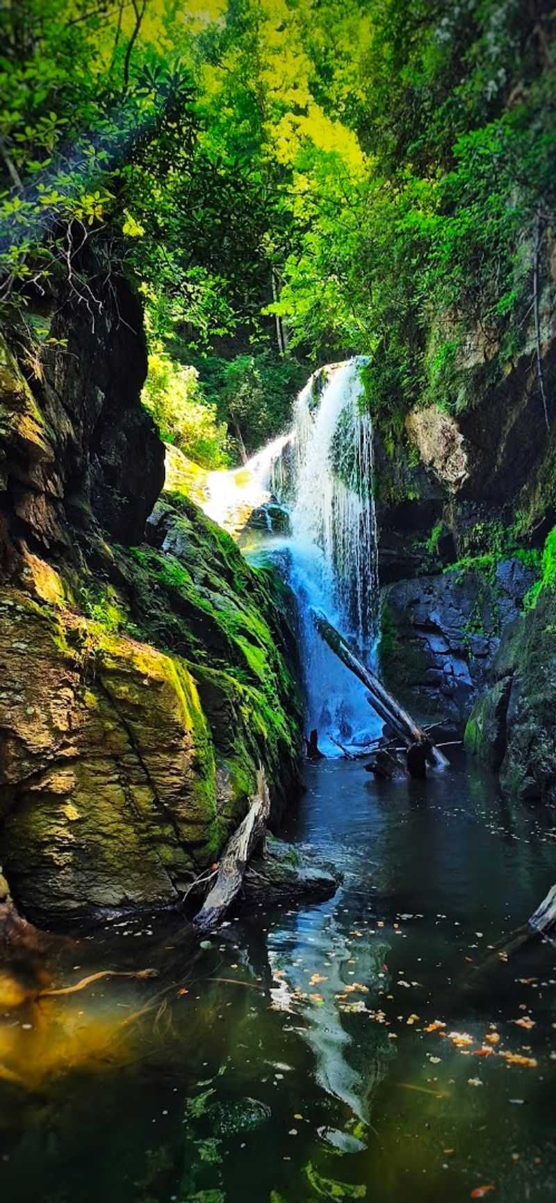 Jocassee Gorges Wilderness