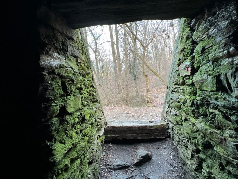 The Woman In The Wilderness: A Doomsday Sect In The New World