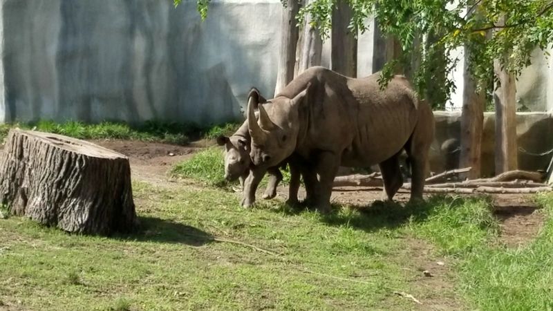 Potter Park Zoo, Lansing