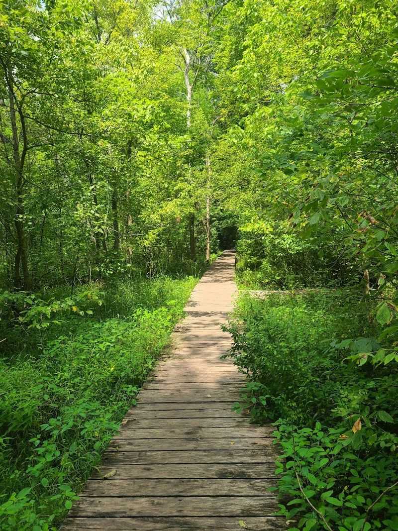 John Bryan State Park, Yellow Springs, OH