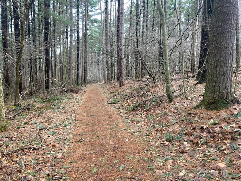 Big Lyons Falls Trail, Mohican State Park, Loudonville, Ohio