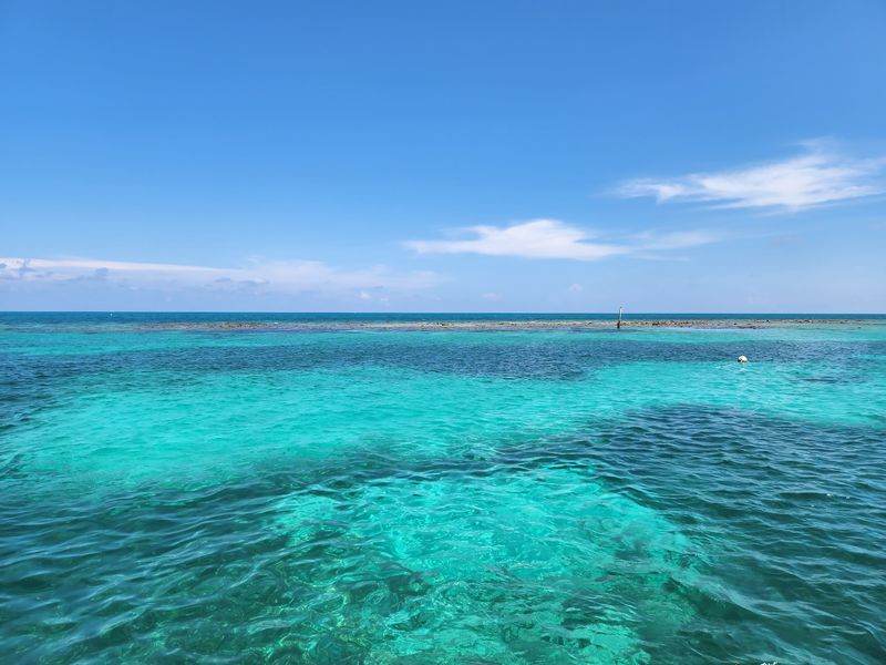 John Pennekamp Coral Reef State Park, Key Largo