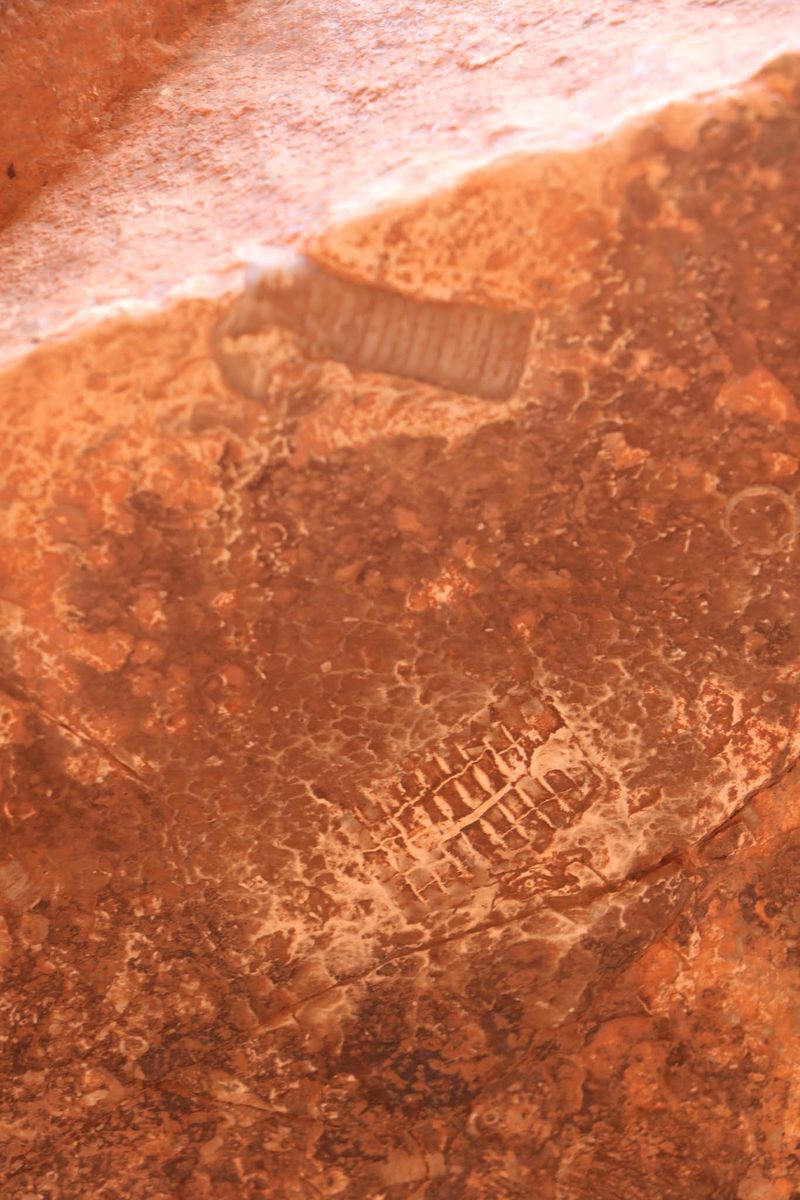 Fossil Hunting In Fallen Rocks