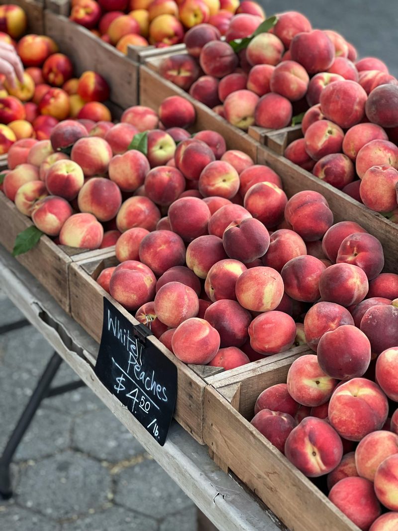 Johnson County Peach Festival, Clarksville