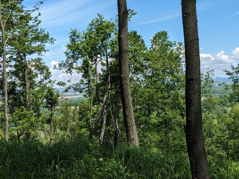 Sugarloaf Mountain Loop Trail – Great Seal State Park, Near Chillicothe