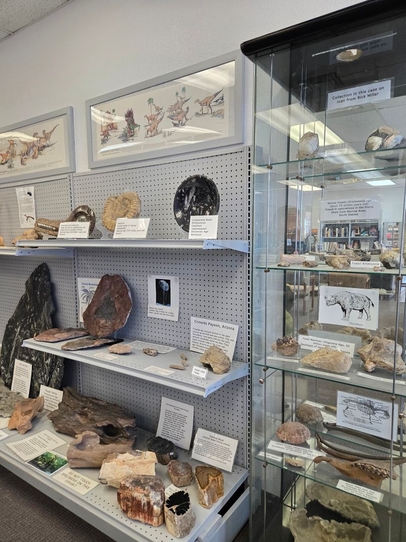 Joining the Local Geology Society