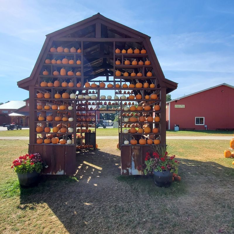 Jonamac Orchard