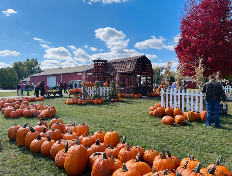 Jonamac Orchard