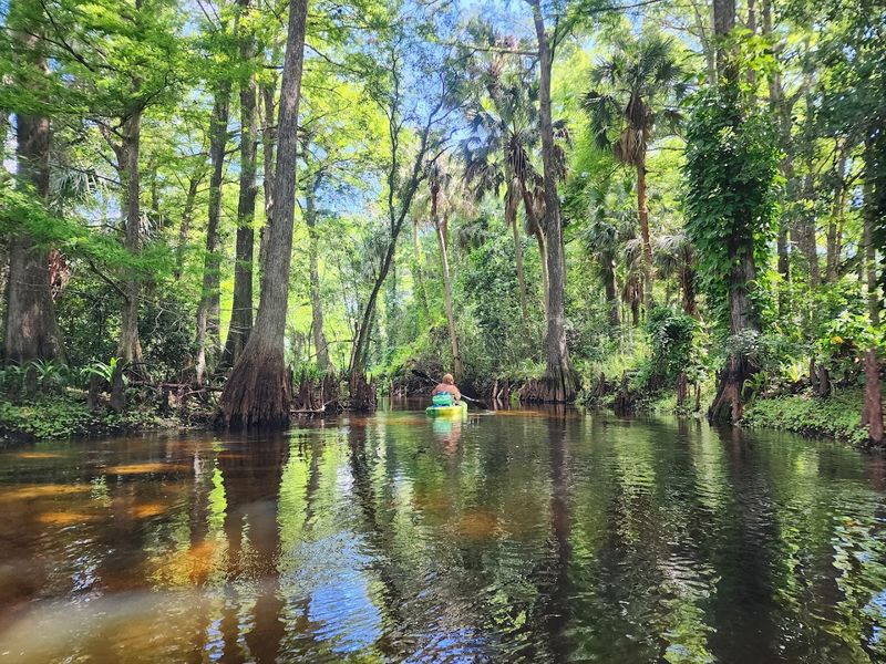 Jonathan Dickinson State Park, Hobe Sound, FL