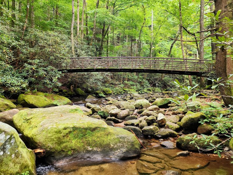 Jones Gap Trail, Jones Gap State Park