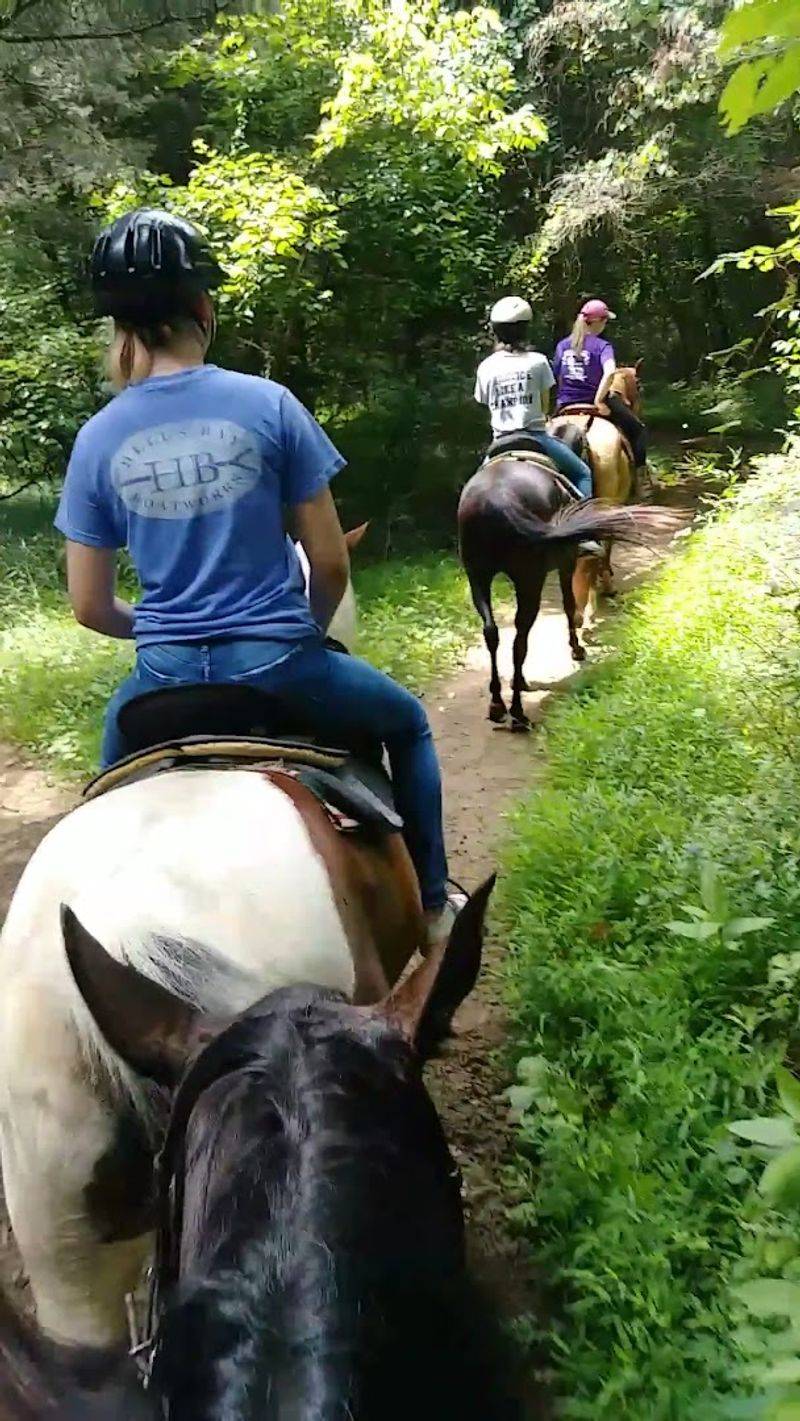 Jordan Valley Trail Riding