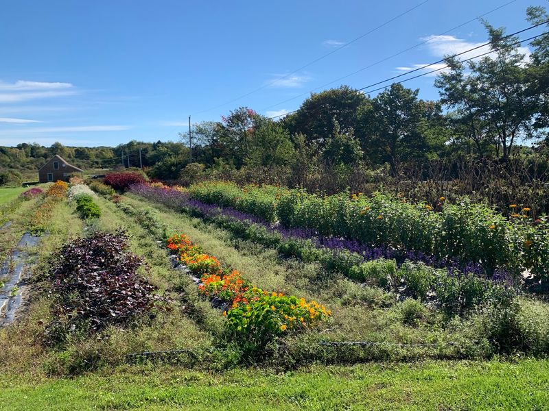 Jordan's Farm, Cape Elizabeth