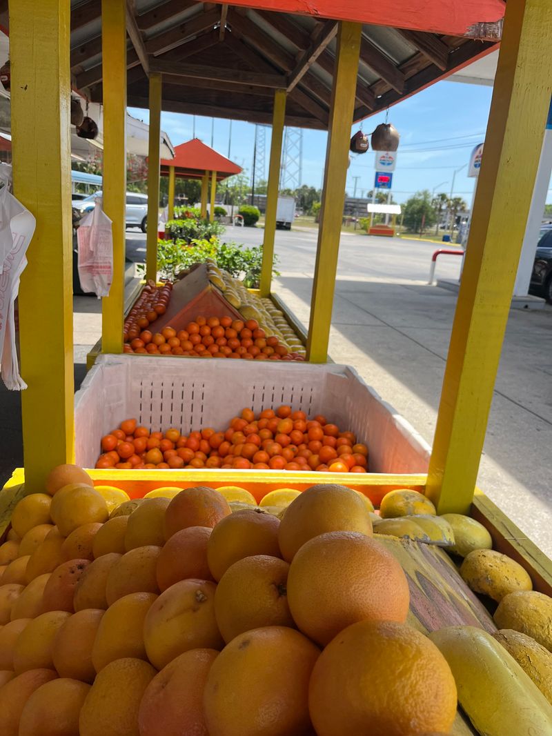 Florida Citrus Center – St. Augustine