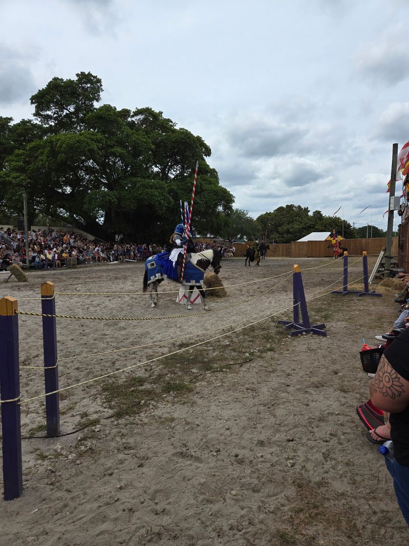 Jousting Knights That Thunder Across The Field